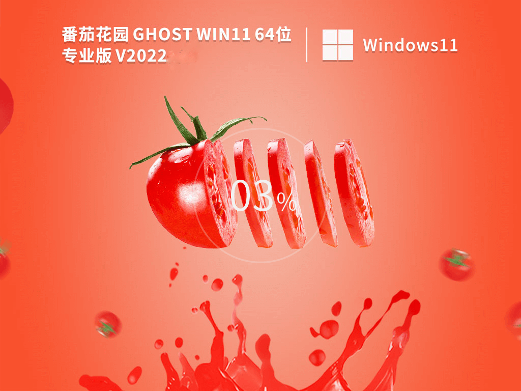 番茄花园 Ghost Win11 64位 专业版